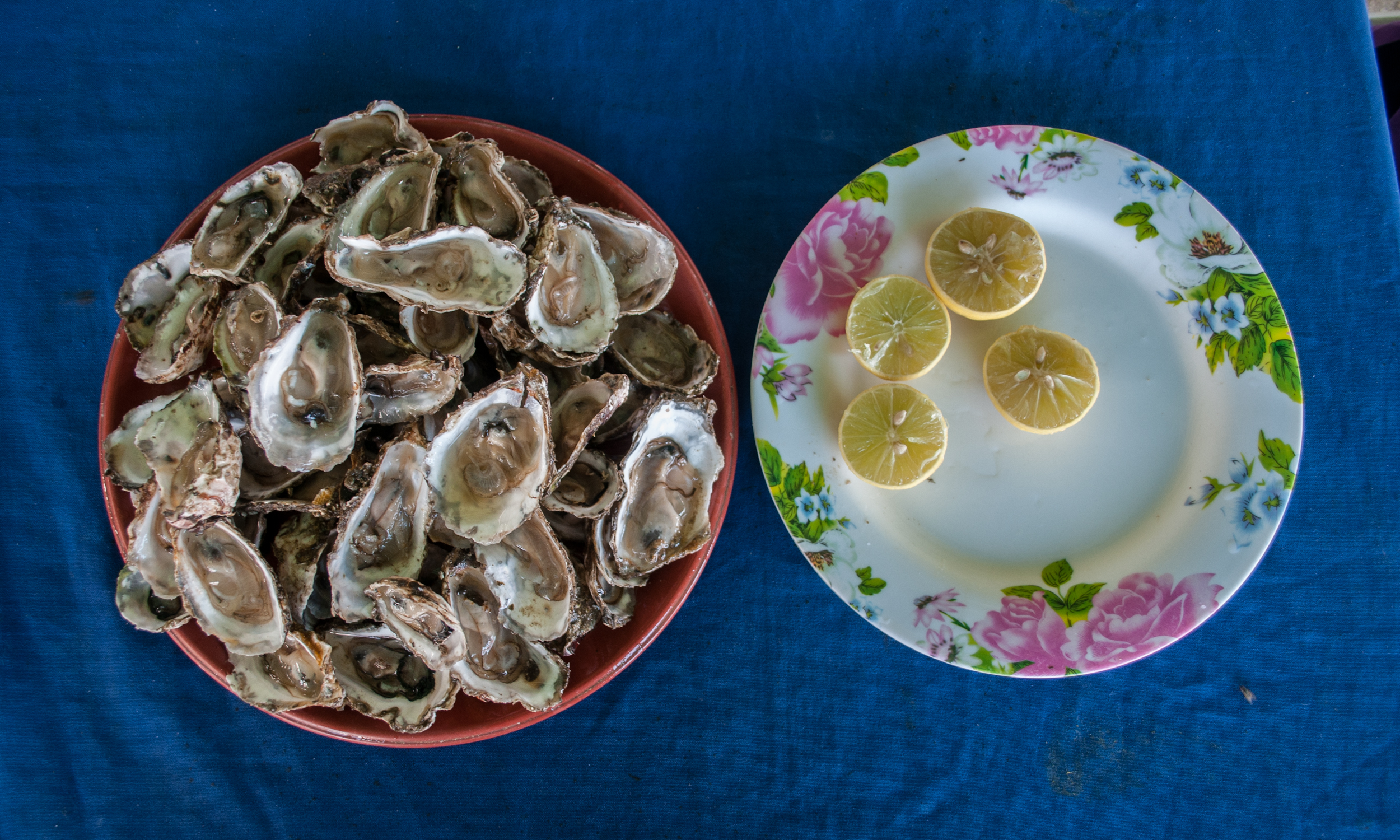 Plate of fresh oysters with lemon