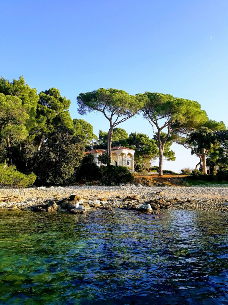 Pine-shaded coastal path in Zlatni Rt forest park near Rovinj
