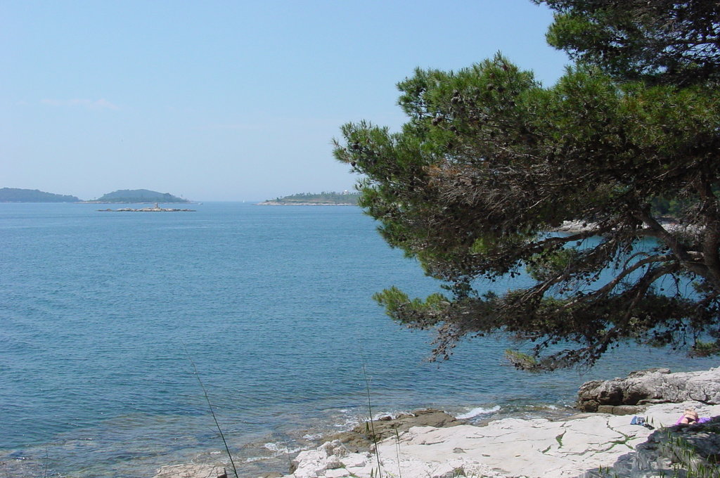 Sea view from within Zlatni Rt park looking out over the Adriatic near Rovinj